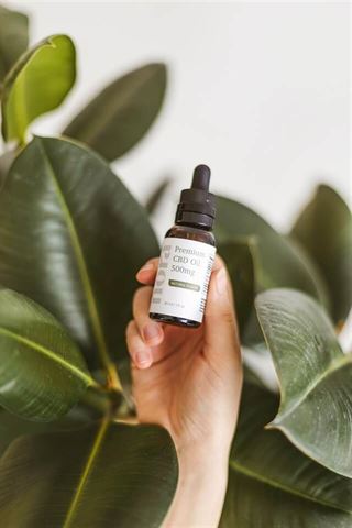 CBD og Dets Potentielle Gavn for Søvnkvalitet