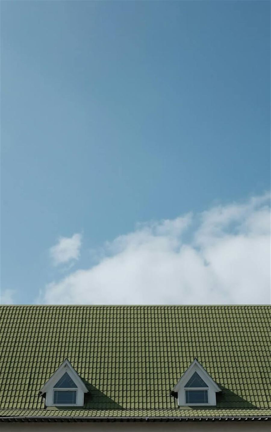 Bæredygtigt tagvalg – Skift til et grønnere nyt tag for miljøet og hjemmet